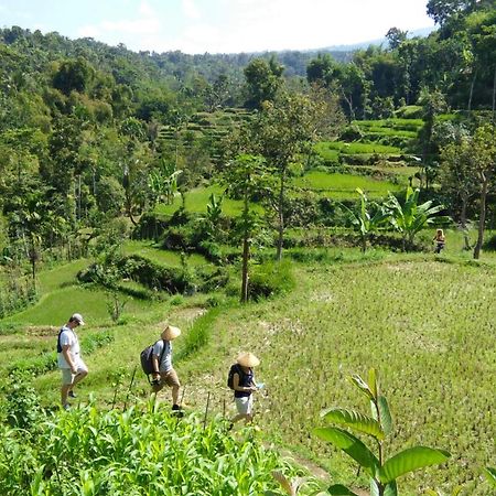 Vanilla Cottage Tetebatu Dış mekan fotoğraf