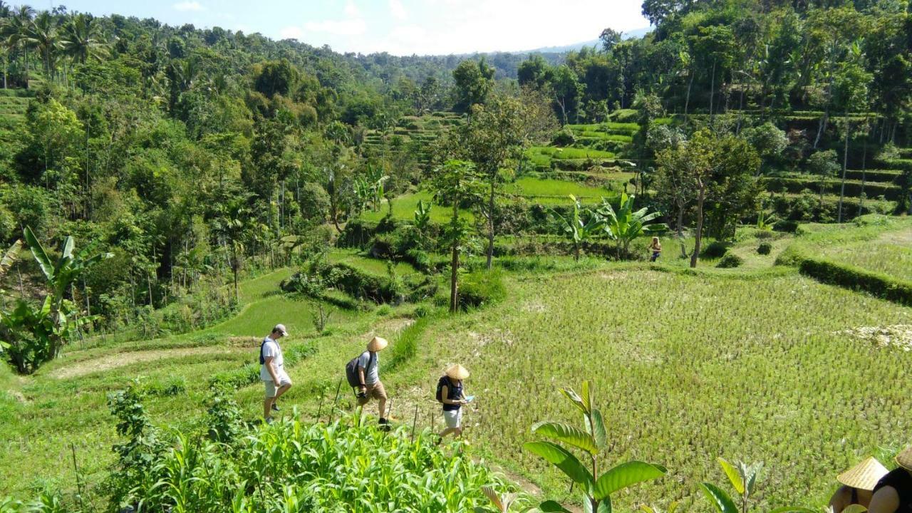 Vanilla Cottage Tetebatu Dış mekan fotoğraf