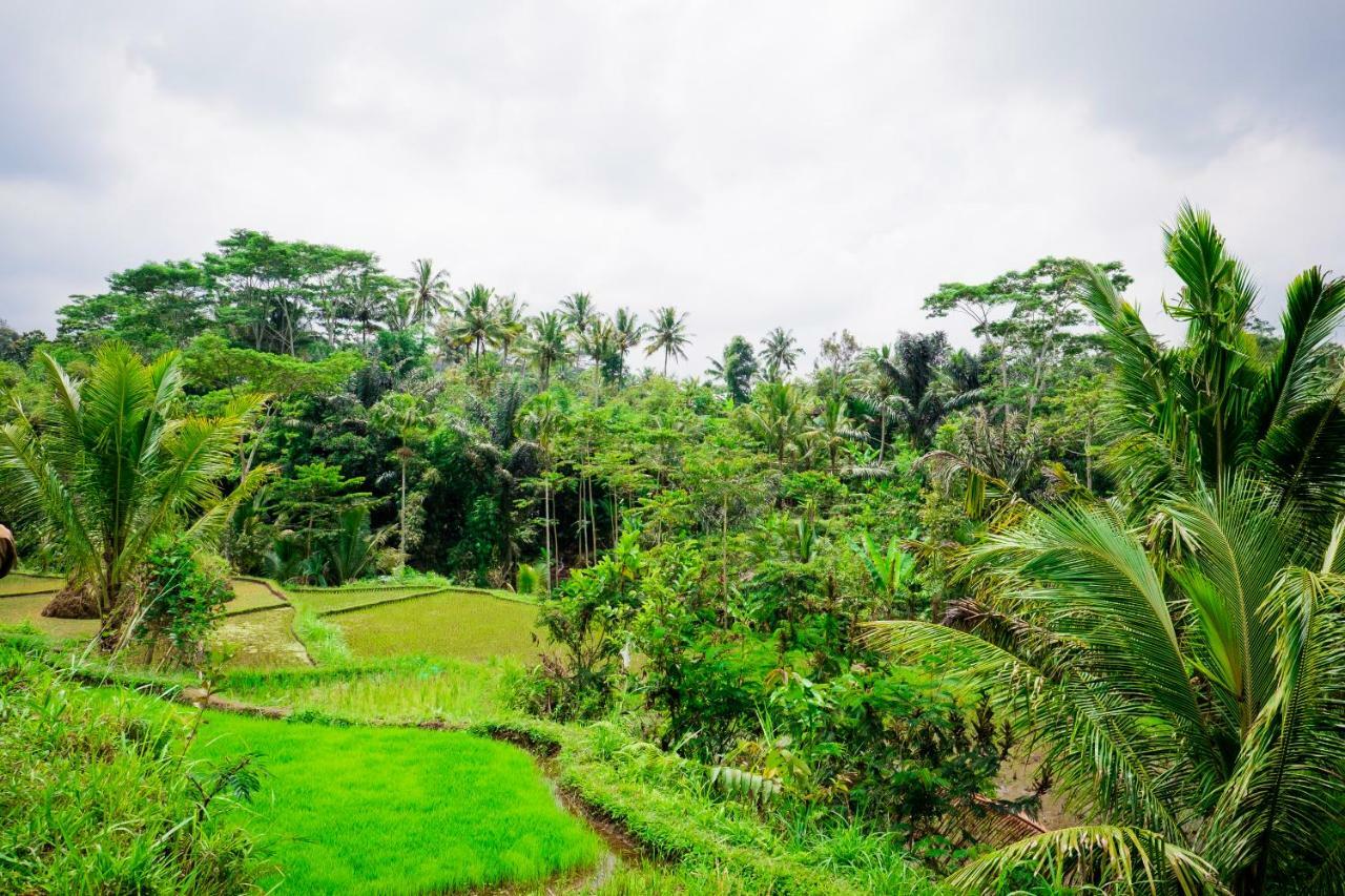 Vanilla Cottage Tetebatu Dış mekan fotoğraf