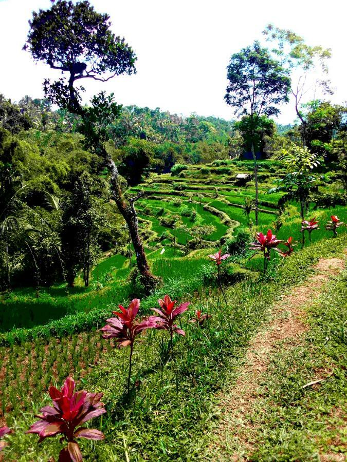 Vanilla Cottage Tetebatu Dış mekan fotoğraf