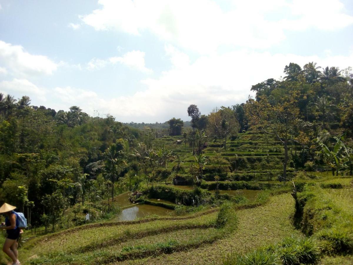 Vanilla Cottage Tetebatu Dış mekan fotoğraf